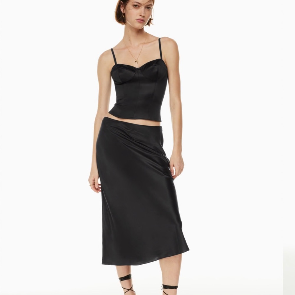 Aritzia Wilfred Ambience Silk Skirt